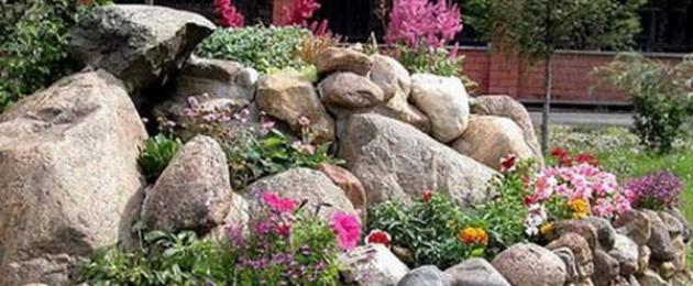 Рокарии и альпинарии на садовом участке — фото уникальных сочетаний камня и растений. Какие растения посадить на альпийской горке и рокарии Камни для рокария и альпийской горки: какие выбрать