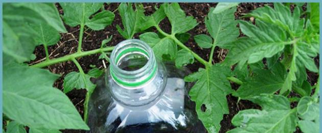 Самодельный капельный полив своими руками из бутылок. Применение пластиковых бутылок для полива огорода: способы. Капельный полив для дачи своими руками