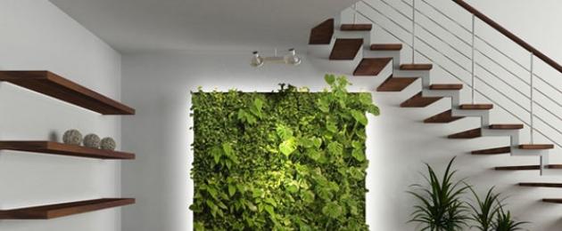 Живая стена из растений своими руками. Зеленая стена из растений своими руками. варианта вертикального сада из водосточных желобов