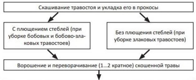 Senage στη συσκευασία.  Τεχνολογία Perm για την παρασκευή ζωοτροφών υψηλής ποιότητας.  Σχηματισμός και μεταφορά κυλίνδρων