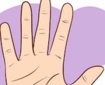 Большой палец на руке: характеристика фаланги воли и логики Что значат линии на большом пальце