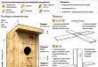 Как сделать скворечник для птиц из дерева: чертежи с размерами Видео – Делаем несложный скворечник самостоятельно