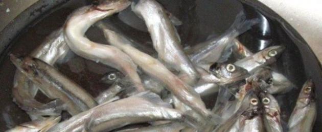 Πώς να καθαρίσετε το capelin από τα οστά πολύ γρήγορα και αποτελεσματικά.  Πώς να τηγανίζετε σωστά την καπελίνα σε τηγάνι - μαγειρέψτε νόστιμα!  Καθαρίζεται το capelin;