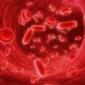 Причины и последствия кровянистых выделений на ранних сроках беременности 7 недель беременности идет кровь