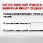 Παρουσίαση για τα κυτταρικά οργανίδια